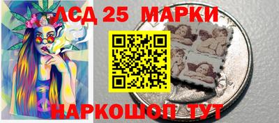 стафф Пенза