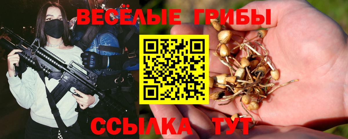 Псилоцибиновые грибы мицелий Сергиев Посад